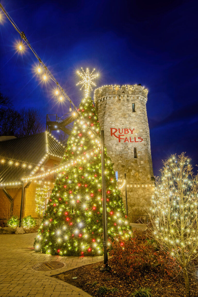 Christmas tree lit up at night in front of the Ruby Falls caslte