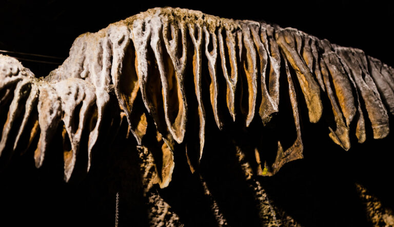 Tobacco Leaves cave formation at Ruby Falls