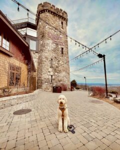 Doodle at Ruby Falls