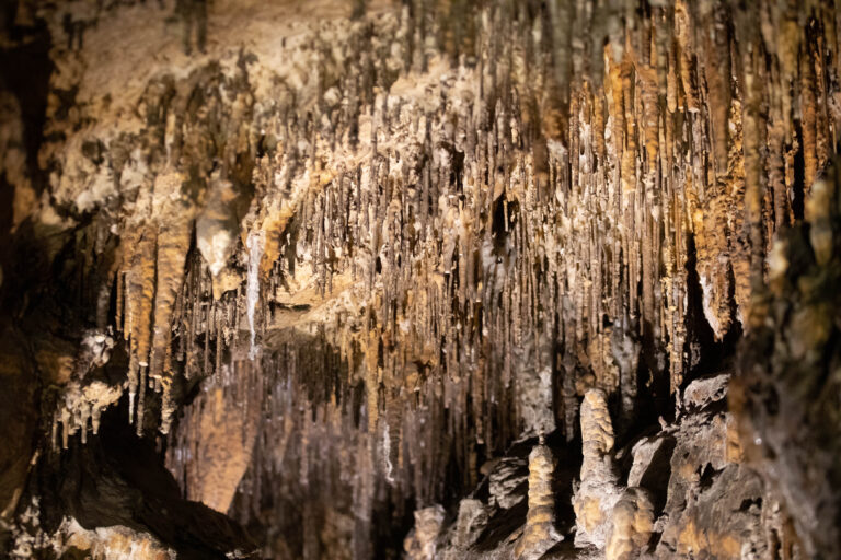 Caves at Ruby Falls