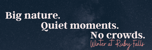 A graphic with a dark blue background showing the milky way in the middle of the graphic.